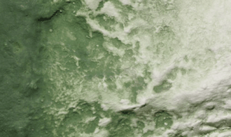 Woodland Scenics # C1228 Green Undercoat