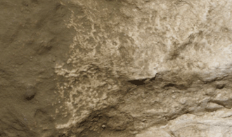 Woodland Scenics # C1229 Earth Undercoat