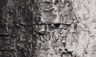 Woodland Scenics # C1220 Black