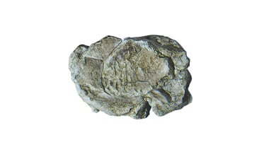 Woodland Scenics # C1237 Wind Rock Mold