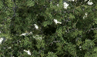 Woodland Scenics # F1129 Shrubs & Saplings / Medium Green