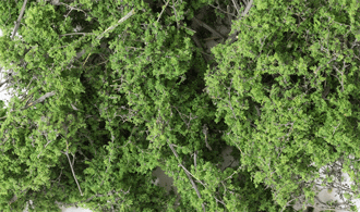 Woodland Scenics # F1131 Fine-Leaf Foliage / Medium Green