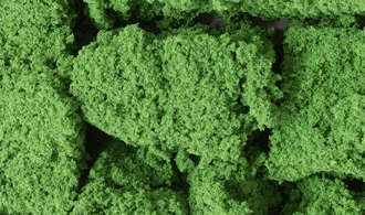 Woodland Scenics # FC58 Foliage Clusters / Medium Green