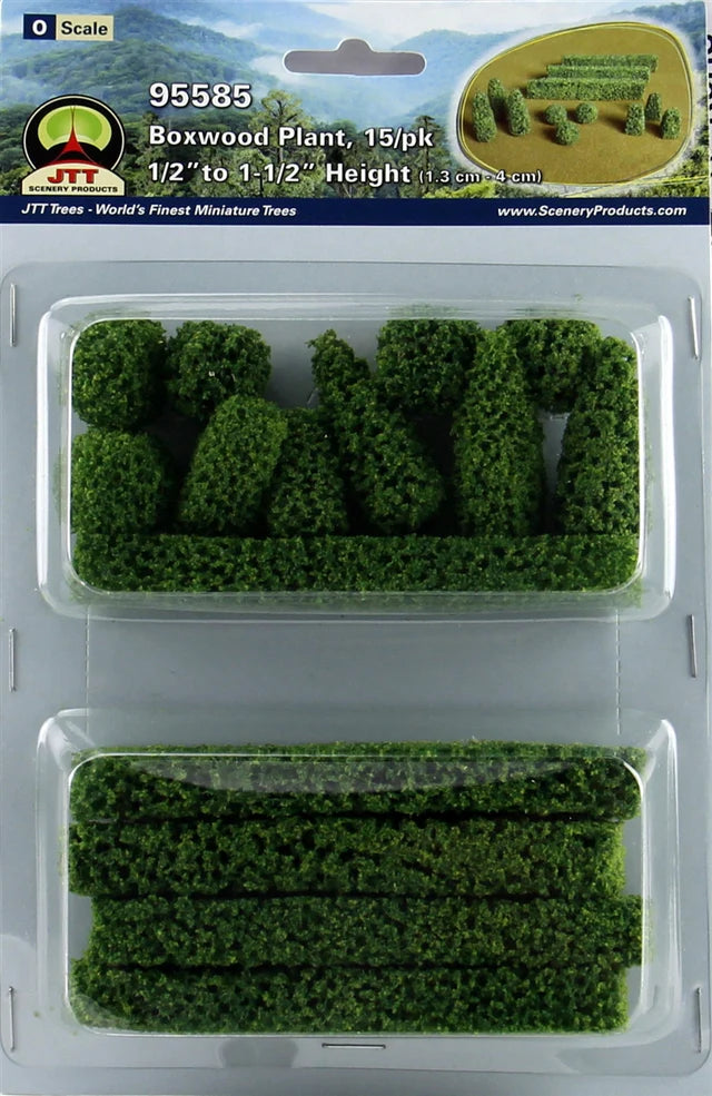 JTT # 95585 Boxwood Plants