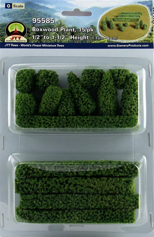 JTT # 95585 Boxwood Plants