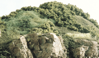 Woodland Scenics # LK954  Landscape Learning Kit